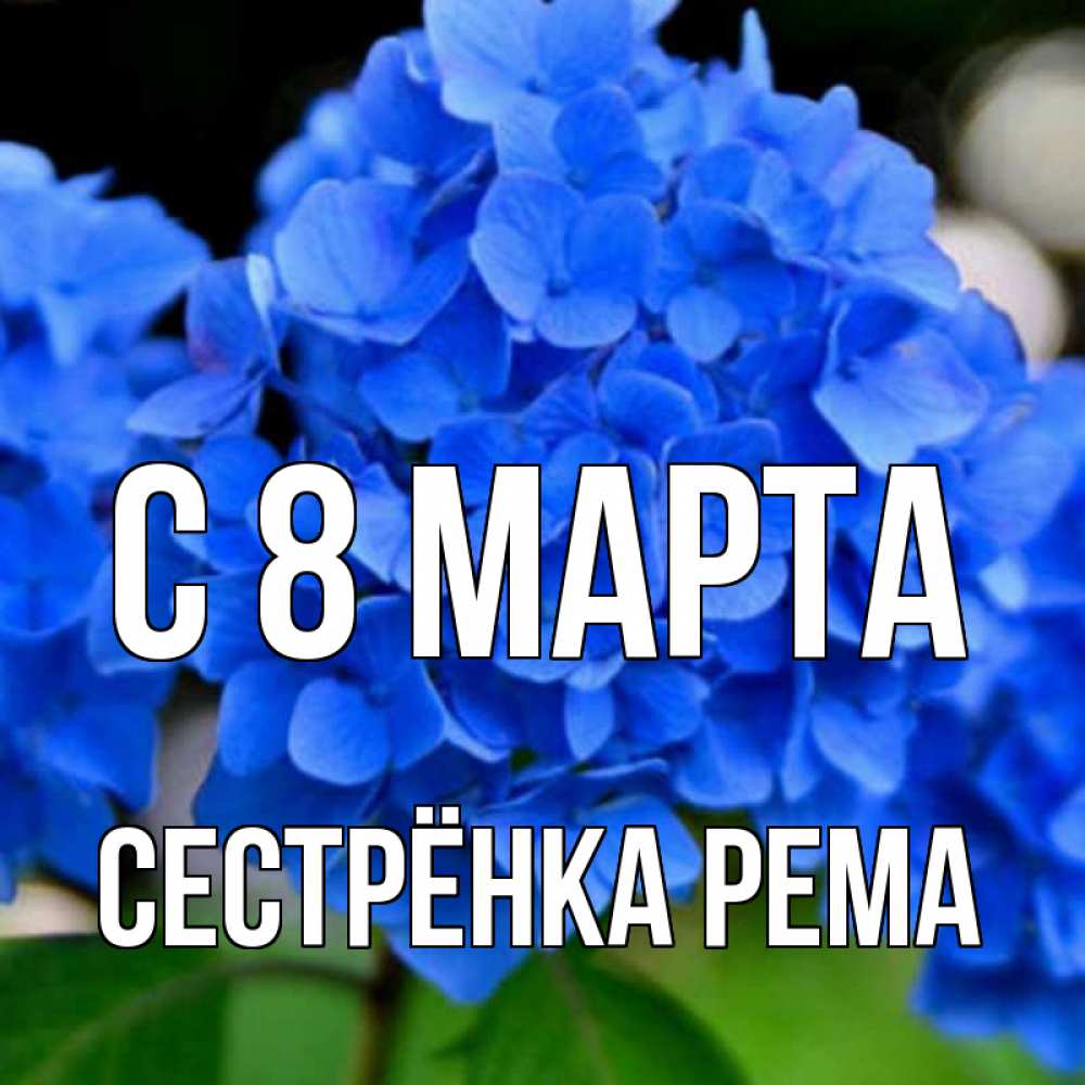 Открытка на каждый день с именем, Сестрёнка-Рема С 8 марта синие цветы Прикольная открытка с пожеланием онлайн скачать бесплатно 