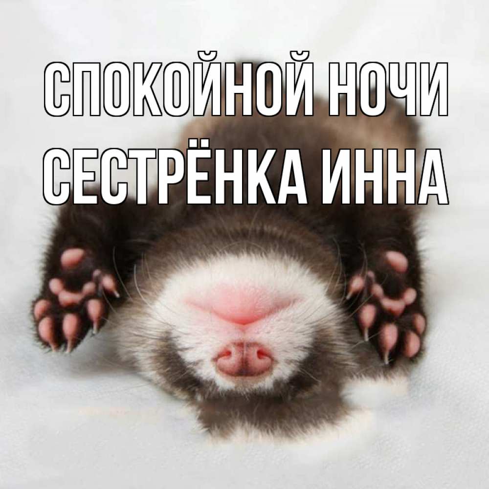 Открытка на каждый день с именем, Сестрёнка-Инна Спокойной ночи зверек Прикольная открытка с пожеланием онлайн скачать бесплатно 