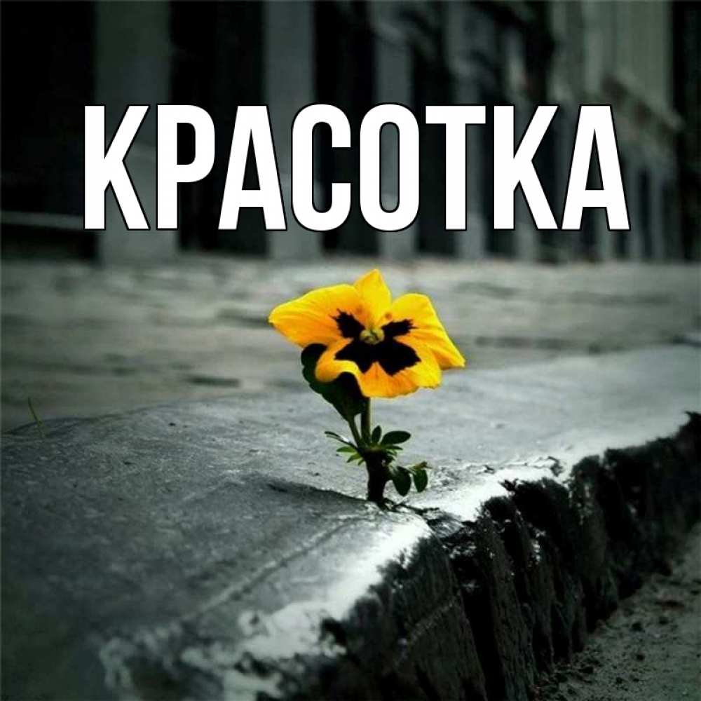 Открытка на каждый день с именем, красотка Главная не сдавайся Прикольная открытка с пожеланием онлайн скачать бесплатно 