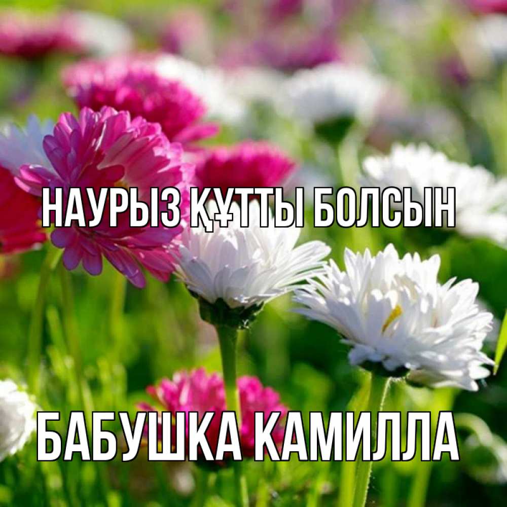 Открытка на каждый день с именем, Бабушка-Камилла Наурыз құтты болсын наурыз Прикольная открытка с пожеланием онлайн скачать бесплатно 