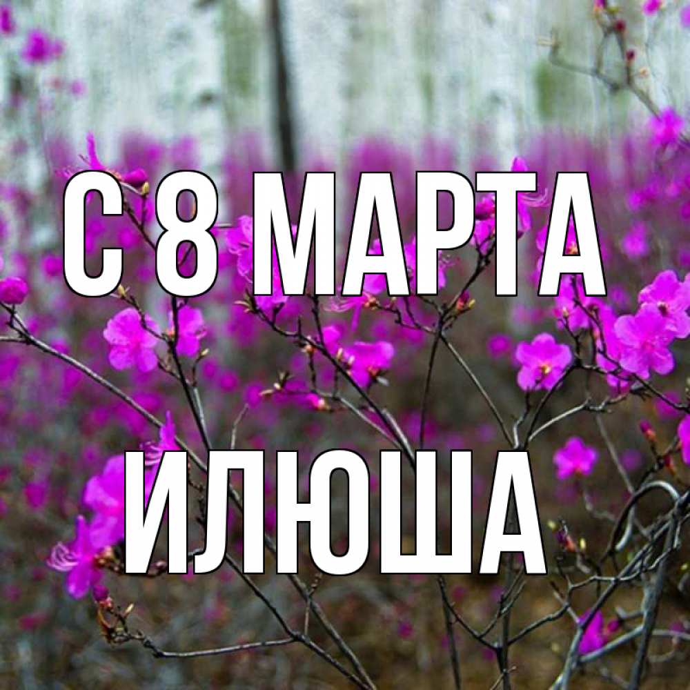 Открытка с именем, Илюша, С 8 марта