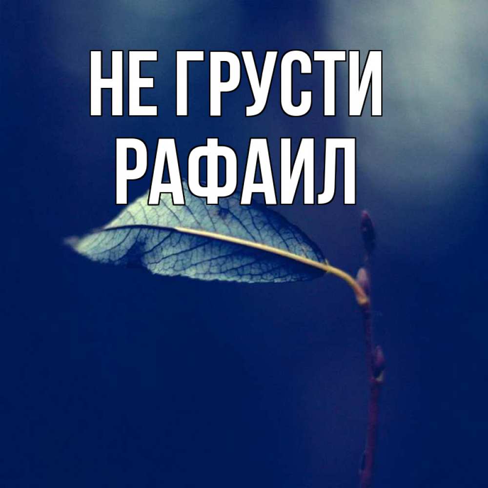 Открытка на каждый день с именем, Рафаил Не грусти растение Прикольная открытка с пожеланием онлайн скачать бесплатно 