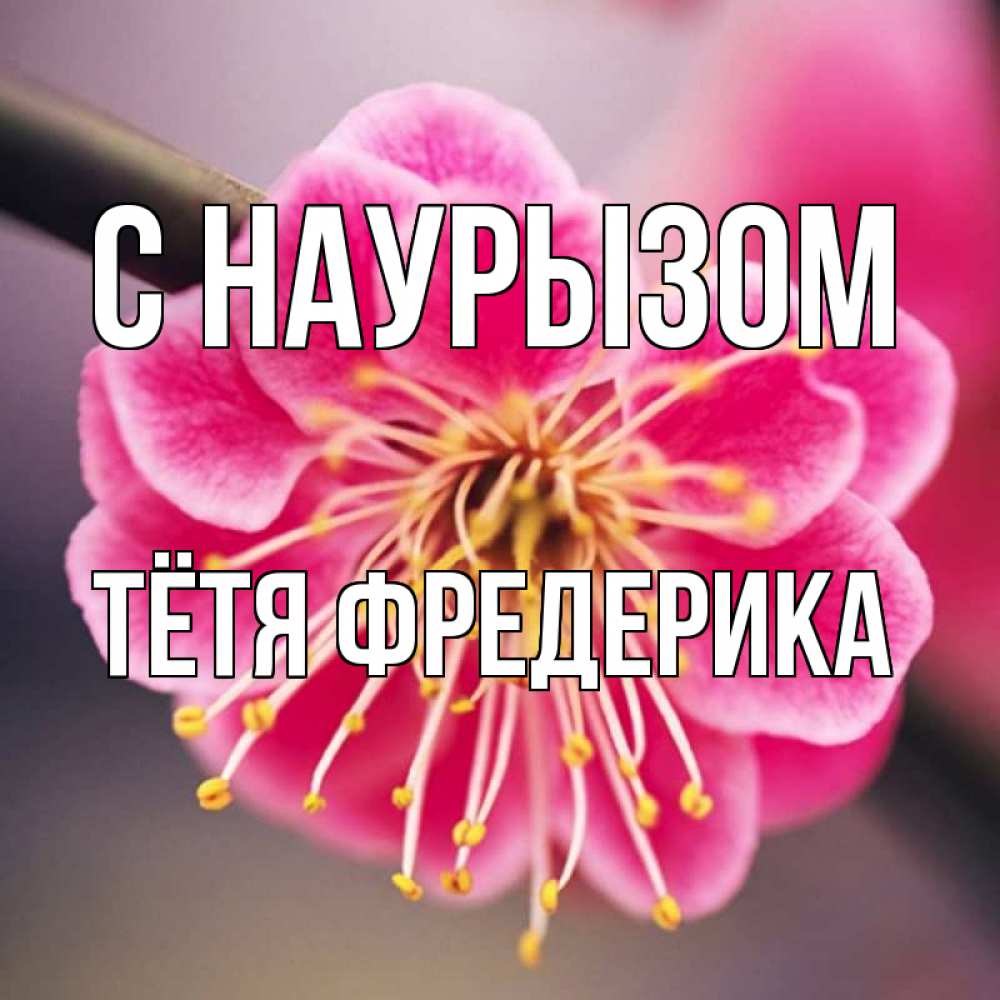 Открытка на каждый день с именем, Тётя-Фредерика С наурызом цветы Прикольная открытка с пожеланием онлайн скачать бесплатно 