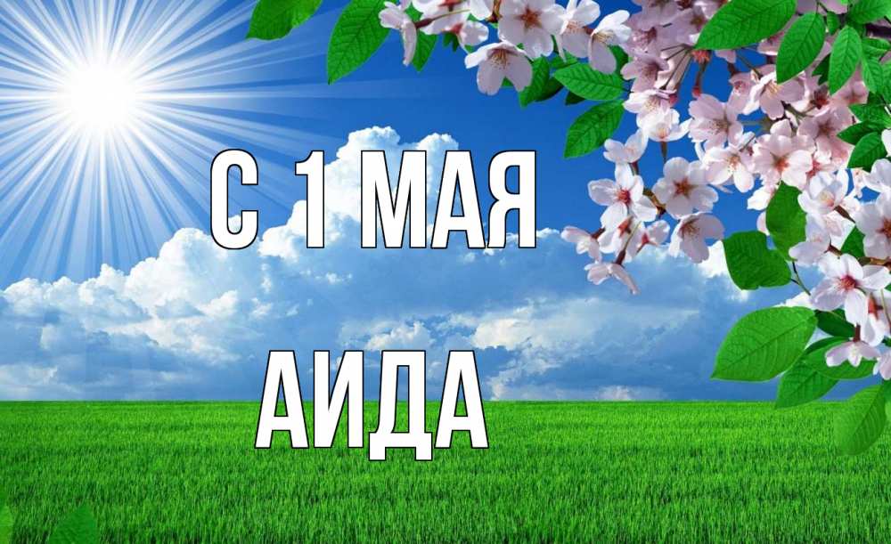 Открытка на каждый день с именем, Аида С 1 мая С 1 мая Прикольная открытка с пожеланием онлайн скачать бесплатно 