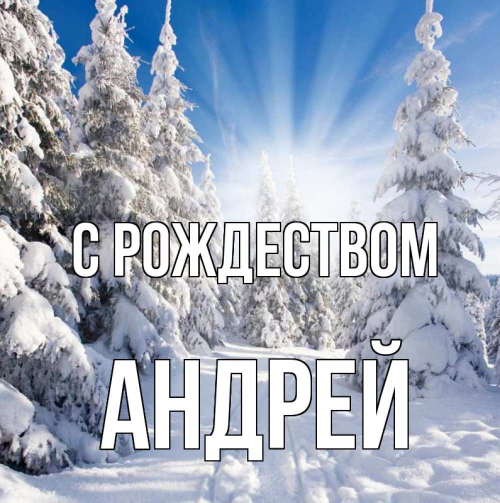 Открытка на каждый день с именем, Андрей С рождеством зима, лес Прикольная открытка с пожеланием онлайн скачать бесплатно 