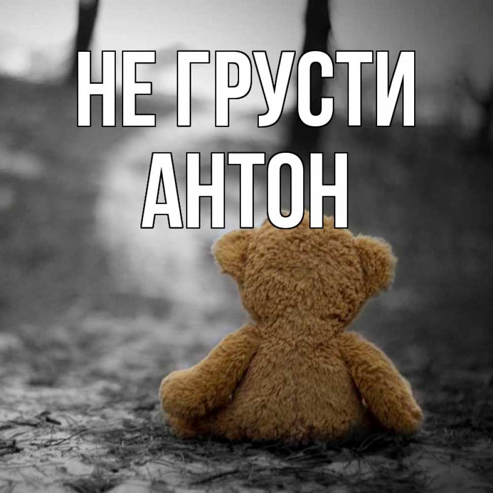 Открытка на каждый день с именем, Антон Не грусти медведь со спин Прикольная открытка с пожеланием онлайн скачать бесплатно 