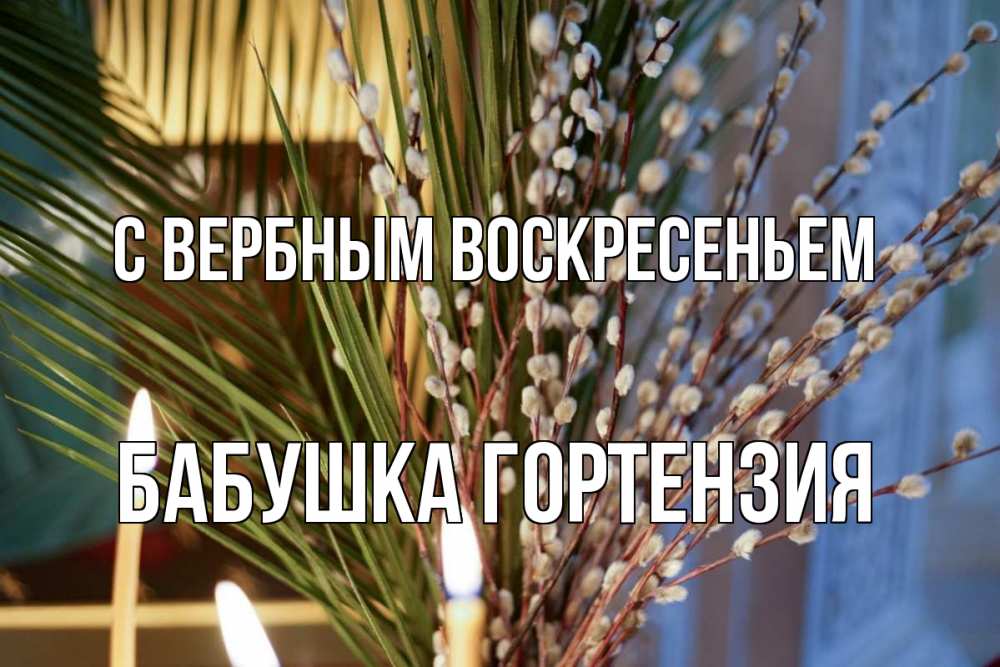 Открытка на каждый день с именем, Бабушка-Гортензия С вербным воскресеньем верба Прикольная открытка с пожеланием онлайн скачать бесплатно 