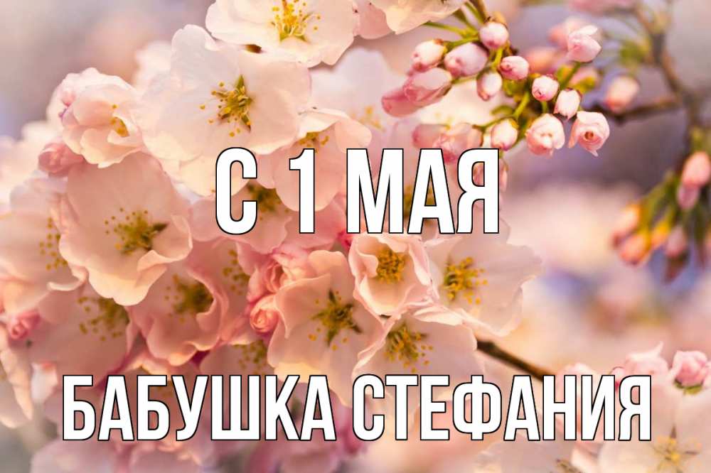 Открытка на каждый день с именем, Бабушка-Стефания С 1 мая С 1 мая Прикольная открытка с пожеланием онлайн скачать бесплатно 