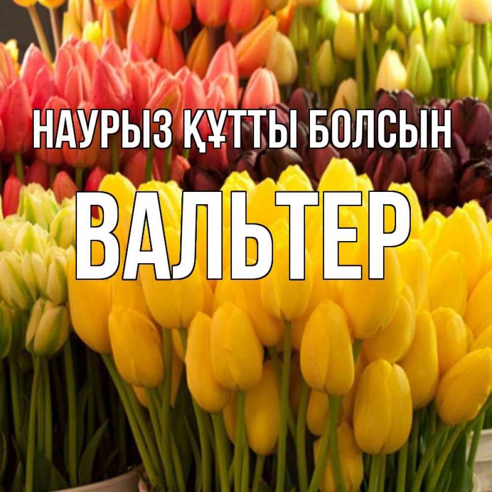 Открытка на каждый день с именем, Вальтер Наурыз құтты болсын цветы Прикольная открытка с пожеланием онлайн скачать бесплатно 