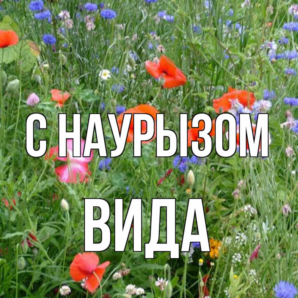 Открытка на каждый день с именем, Вида С наурызом праздник весны наурыз супер открытка Прикольная открытка с пожеланием онлайн скачать бесплатно 