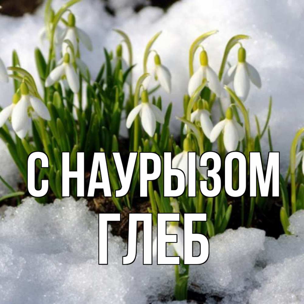 Открытка на каждый день с именем, Глеб С наурызом цветы весенние Прикольная открытка с пожеланием онлайн скачать бесплатно 