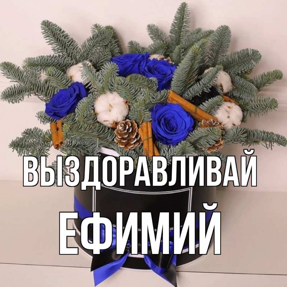 Открытка на каждый день с именем, Ефимий Выздоравливай короче кто то загрузил эти шишки Прикольная открытка с пожеланием онлайн скачать бесплатно 