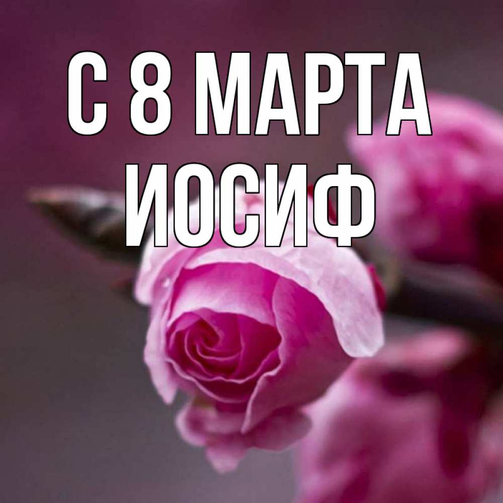 Открытка на каждый день с именем, Иосиф С 8 МАРТА весна Прикольная открытка с пожеланием онлайн скачать бесплатно 