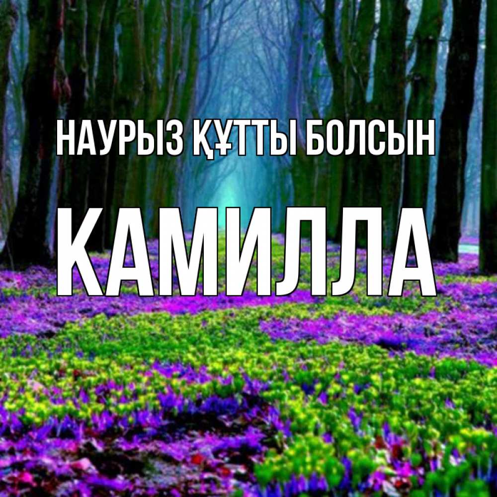Открытка на каждый день с именем, Камилла Наурыз құтты болсын фиолетовые цветы в лесу 1 Прикольная открытка с пожеланием онлайн скачать бесплатно 