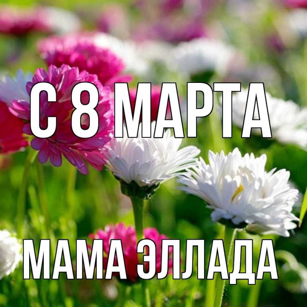 Открытка на каждый день с именем, Мама-Эллада С 8 МАРТА международный женский день 1 Прикольная открытка с пожеланием онлайн скачать бесплатно 