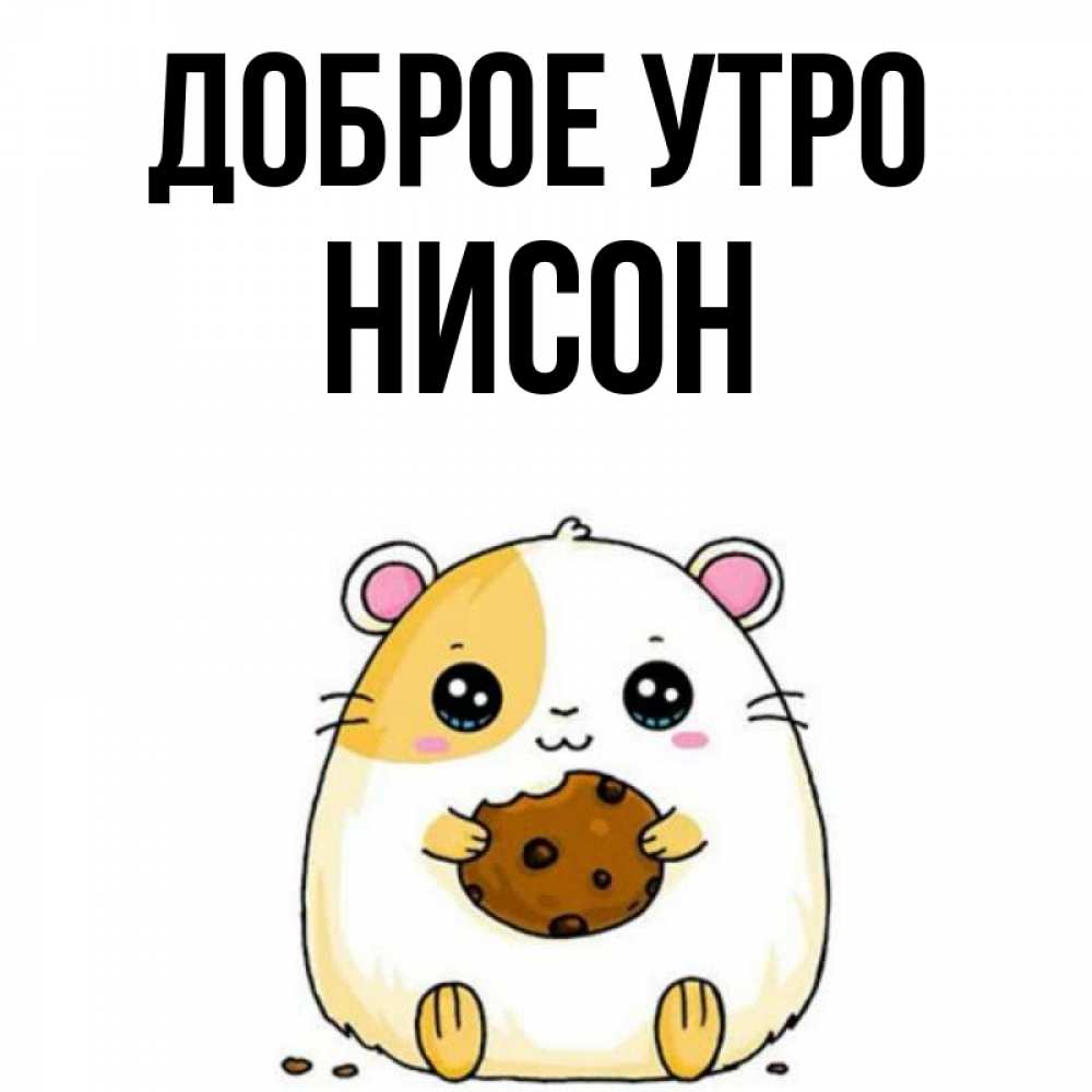 Открытка на каждый день с именем, Нисон Доброе утро есть печеньку. Утречко Прикольная открытка с пожеланием онлайн скачать бесплатно 