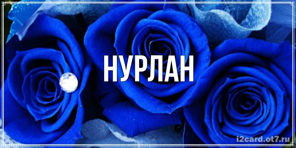 Открытка на каждый день с именем, Нурлан Главная синие розы в росе Прикольная открытка с пожеланием онлайн скачать бесплатно 