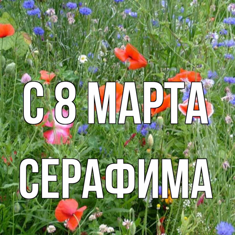 Открытка на каждый день с именем, Серафима С 8 МАРТА международный женский день 4 Прикольная открытка с пожеланием онлайн скачать бесплатно 