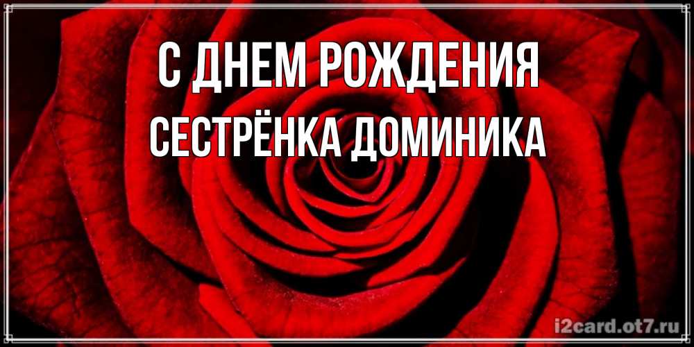 Открытка на каждый день с именем, Сестрёнка-Доминика С днем рождения алая роза Прикольная открытка с пожеланием онлайн скачать бесплатно 