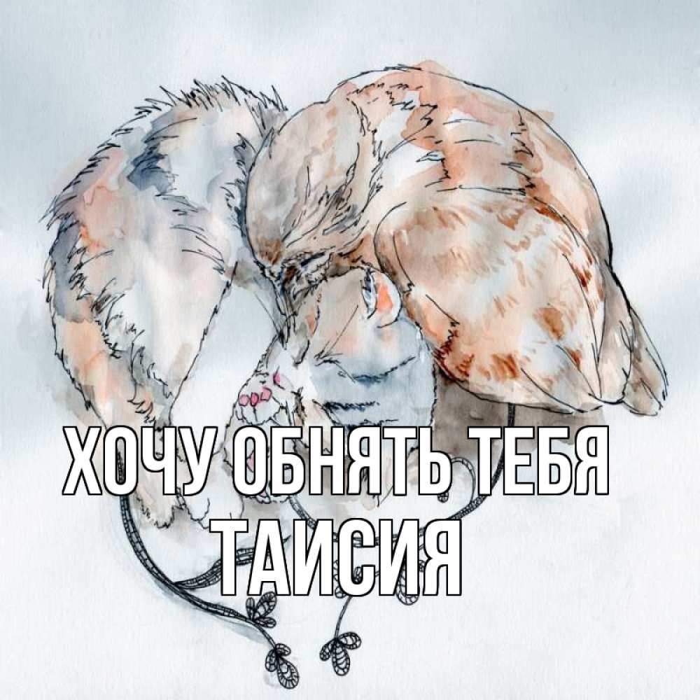 Открытка на каждый день с именем, Таисия Хочу обнять тебя можно быть вместе даже когда очень разные Прикольная открытка с пожеланием онлайн скачать бесплатно 