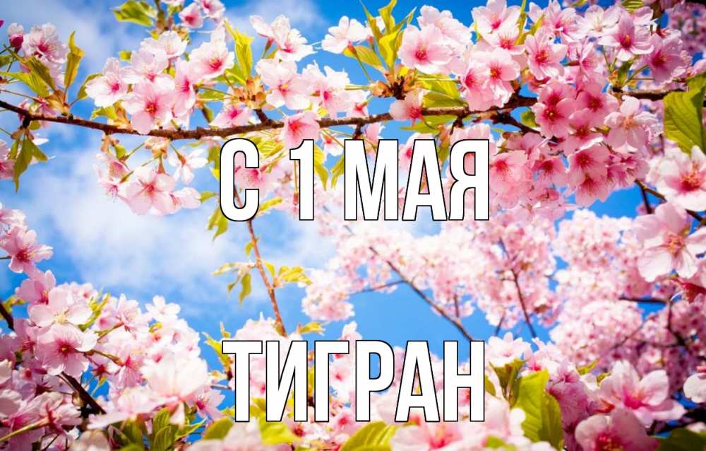 Открытка на каждый день с именем, Тигран С 1 мая С 1 мая Прикольная открытка с пожеланием онлайн скачать бесплатно 