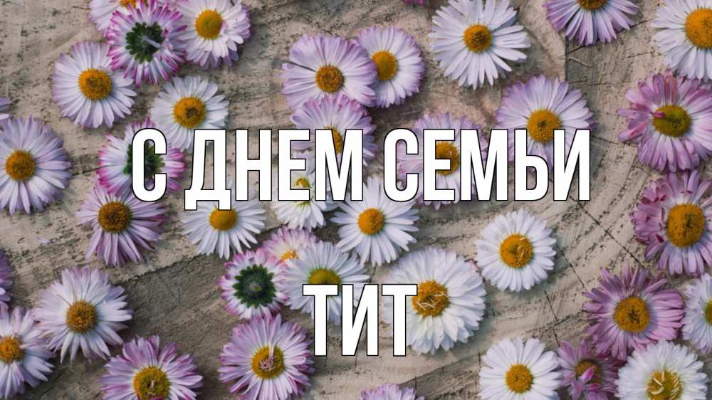 Открытка на каждый день с именем, Тит С днем семьи с днем семьи Прикольная открытка с пожеланием онлайн скачать бесплатно 