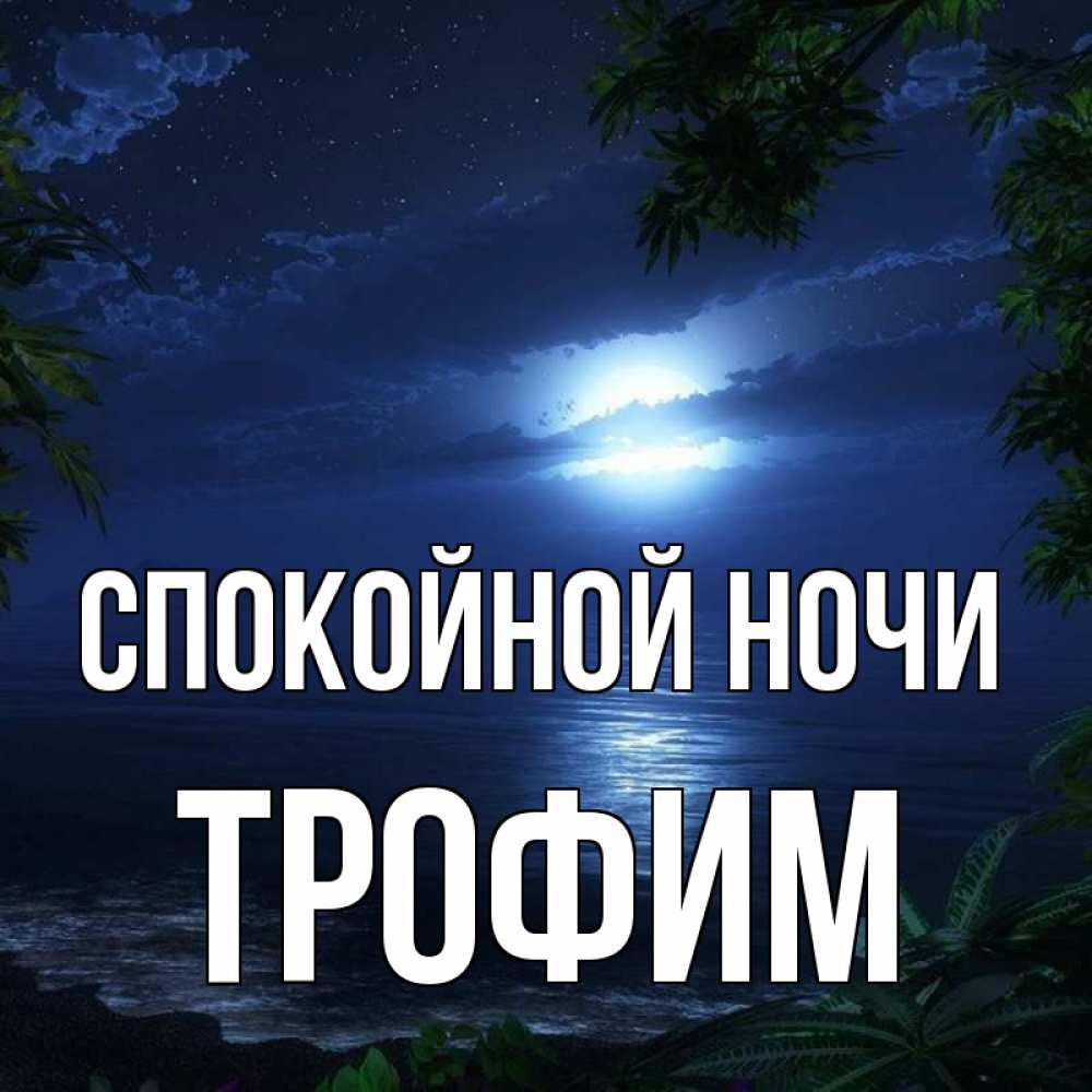 Открытка на каждый день с именем, Трофим Спокойной ночи тропический остров Прикольная открытка с пожеланием онлайн скачать бесплатно 