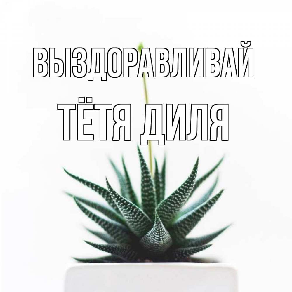 Открытка на каждый день с именем, Тётя-Диля Выздоравливай короче это непонятная колючка Прикольная открытка с пожеланием онлайн скачать бесплатно 