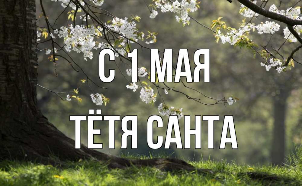 Открытка на каждый день с именем, Тётя-Санта С 1 мая С 1 мая Прикольная открытка с пожеланием онлайн скачать бесплатно 