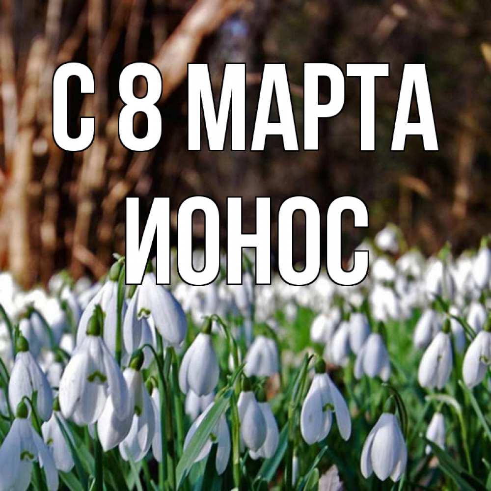 Картинка С 8 МАРТА, Ионос