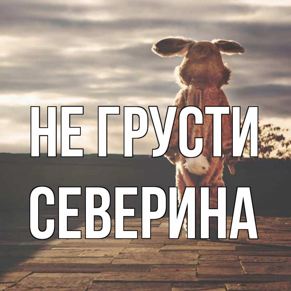 Открытка на каждый день с именем, Северина Не грусти со спины Прикольная открытка с пожеланием онлайн скачать бесплатно 