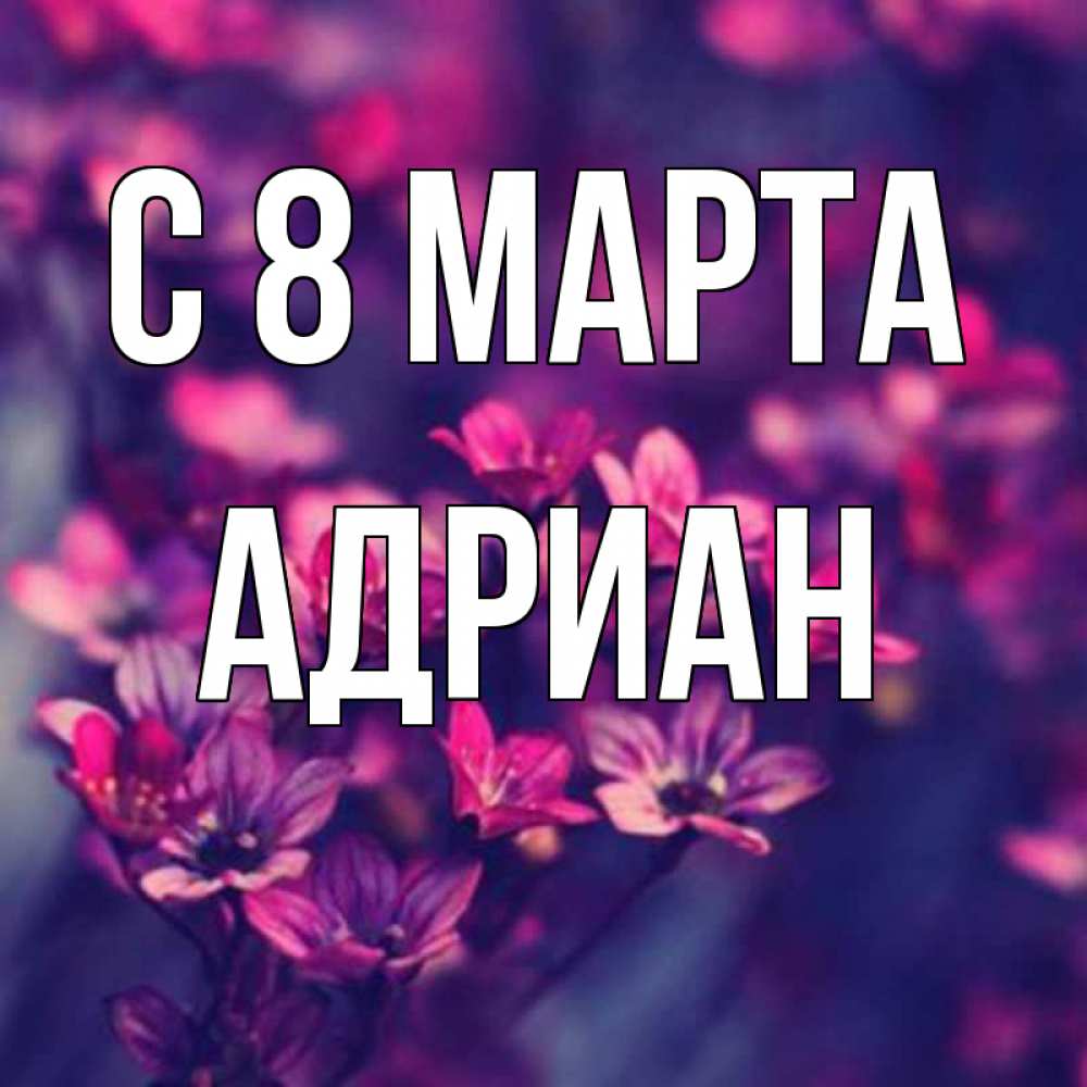 Открытка на каждый день с именем, Адриан С 8 МАРТА небольшие цветы 1 Прикольная открытка с пожеланием онлайн скачать бесплатно 