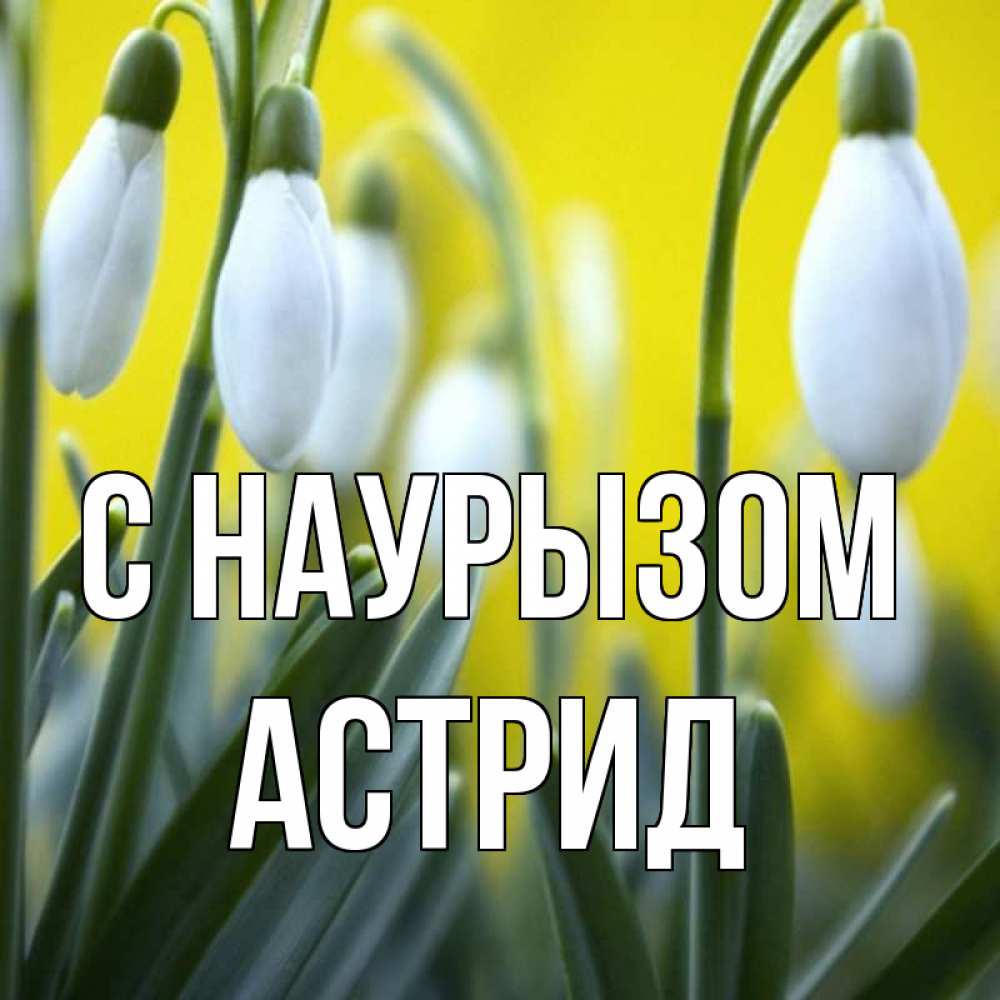 Открытка на каждый день с именем, Астрид С наурызом весенние цветы Прикольная открытка с пожеланием онлайн скачать бесплатно 