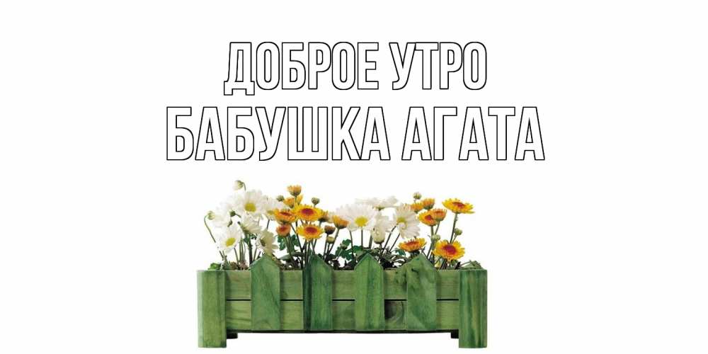Открытка на каждый день с именем, Бабушка-Агата Доброе утро цветы Прикольная открытка с пожеланием онлайн скачать бесплатно 