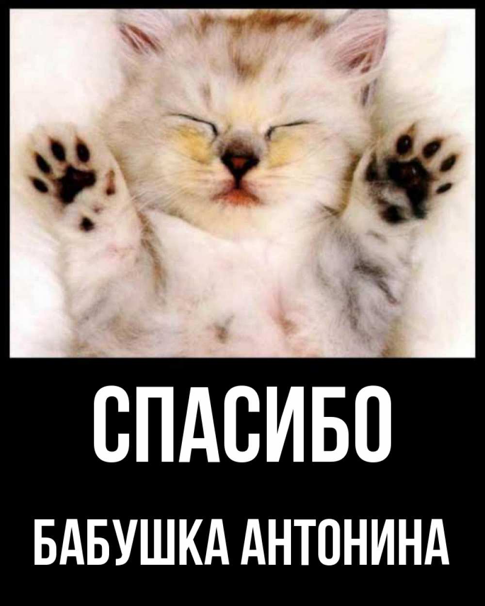 Открытка на каждый день с именем, Бабушка-Антонина Спасибо маленький котенок Прикольная открытка с пожеланием онлайн скачать бесплатно 