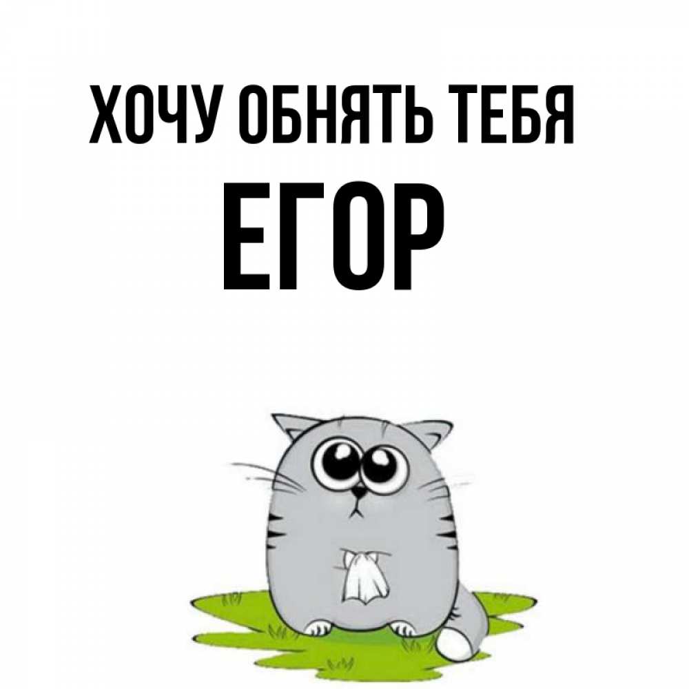 Открытка на каждый день с именем, Егор Хочу обнять тебя котик теребит платочек сидя на травке Прикольная открытка с пожеланием онлайн скачать бесплатно 