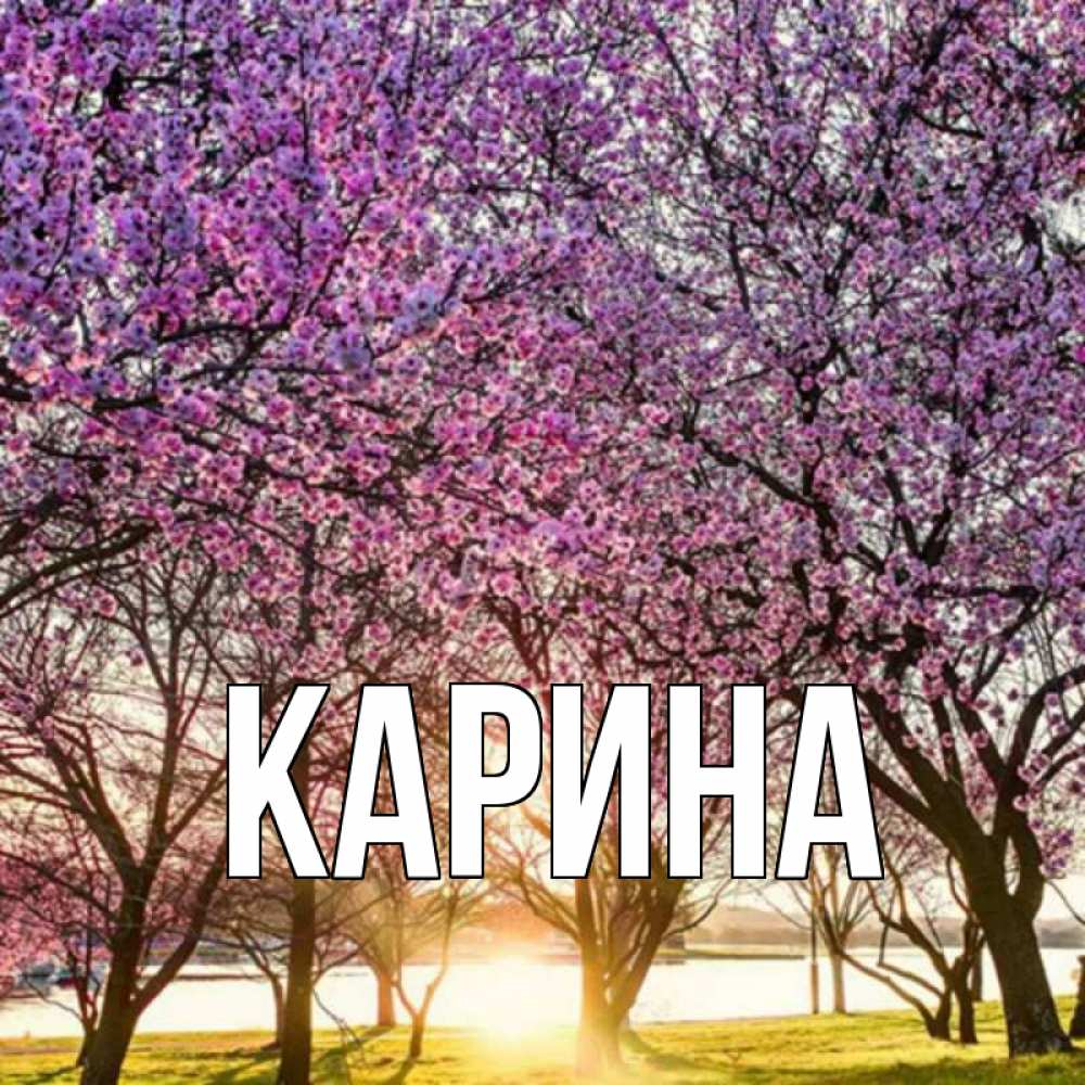 Открытка на каждый день с именем, Карина Главная международный женский день Прикольная открытка с пожеланием онлайн скачать бесплатно 