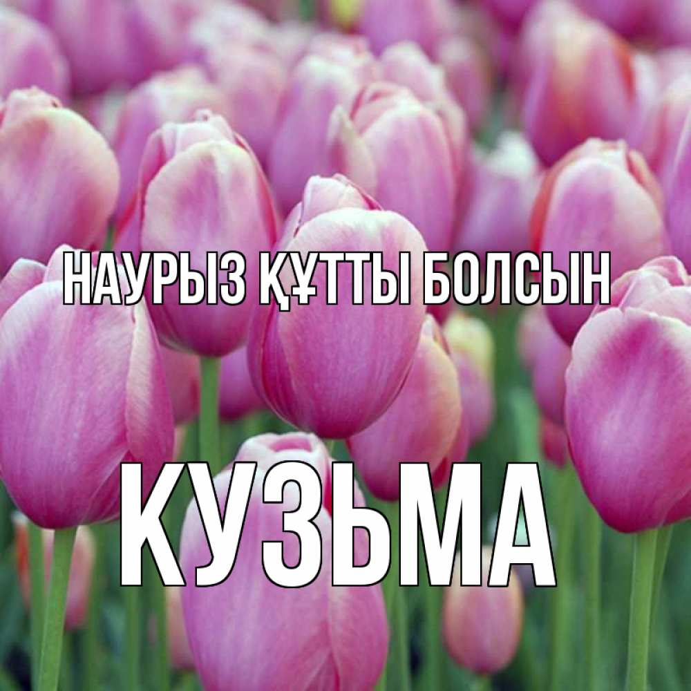 Открытка на каждый день с именем, Кузьма Наурыз құтты болсын на наурыз  день 3 Прикольная открытка с пожеланием онлайн скачать бесплатно 