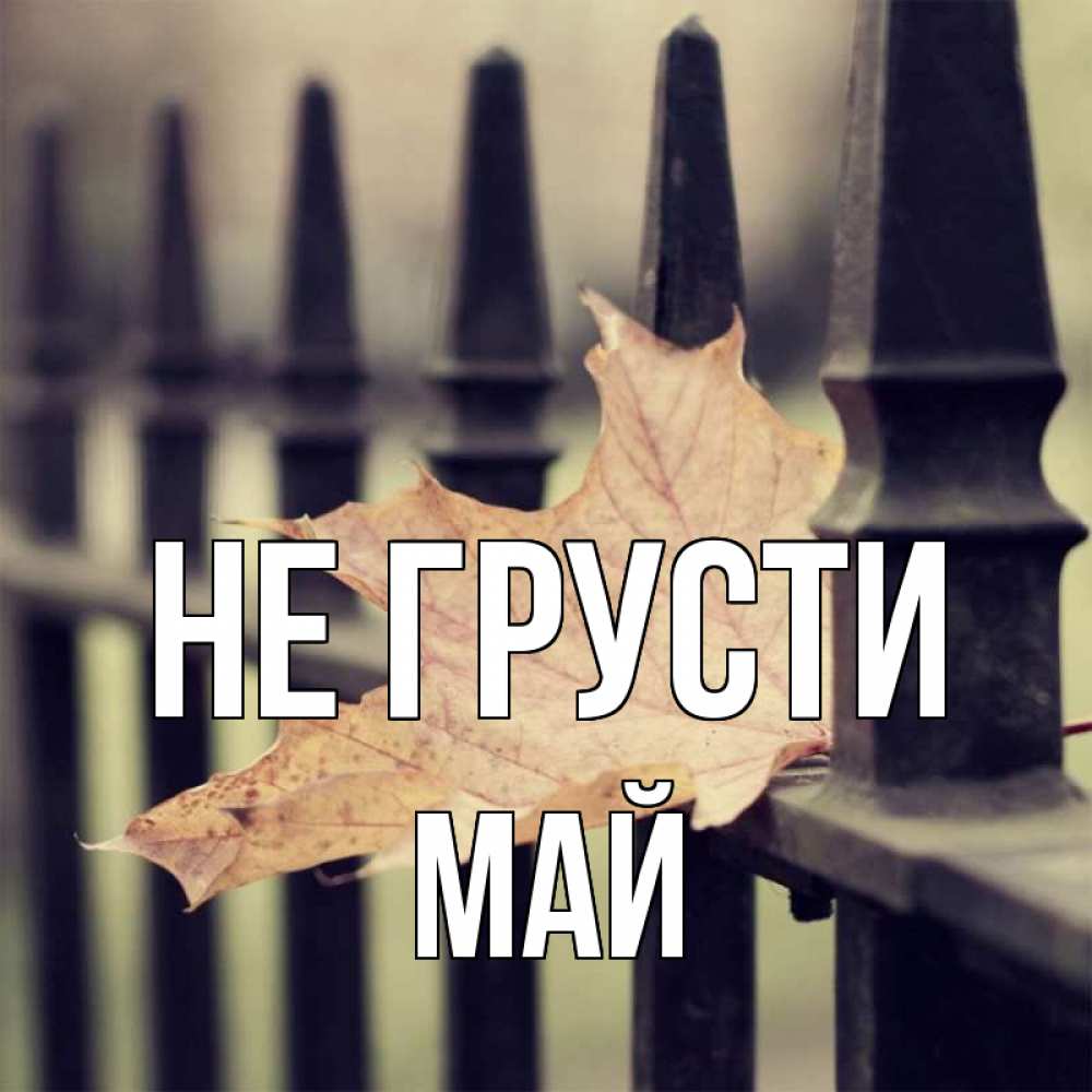 Открытка на каждый день с именем, Май Не грусти лист клена Прикольная открытка с пожеланием онлайн скачать бесплатно 