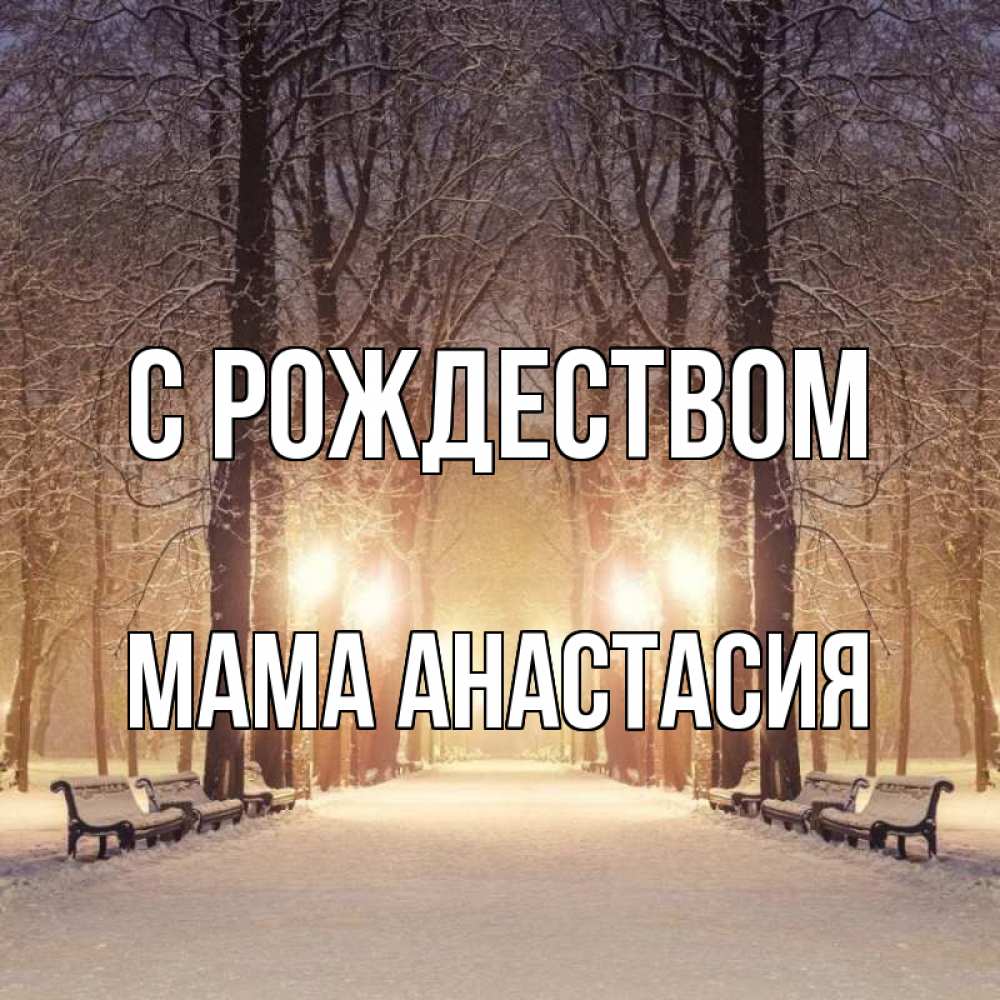 Открытка на каждый день с именем, Мама-Анастасия С рождеством зима, парк, фонарь, лес Прикольная открытка с пожеланием онлайн скачать бесплатно 