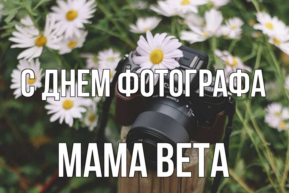 Открытка на каждый день с именем, Мама-Вета С днем фотографа с днем фотографа Прикольная открытка с пожеланием онлайн скачать бесплатно 