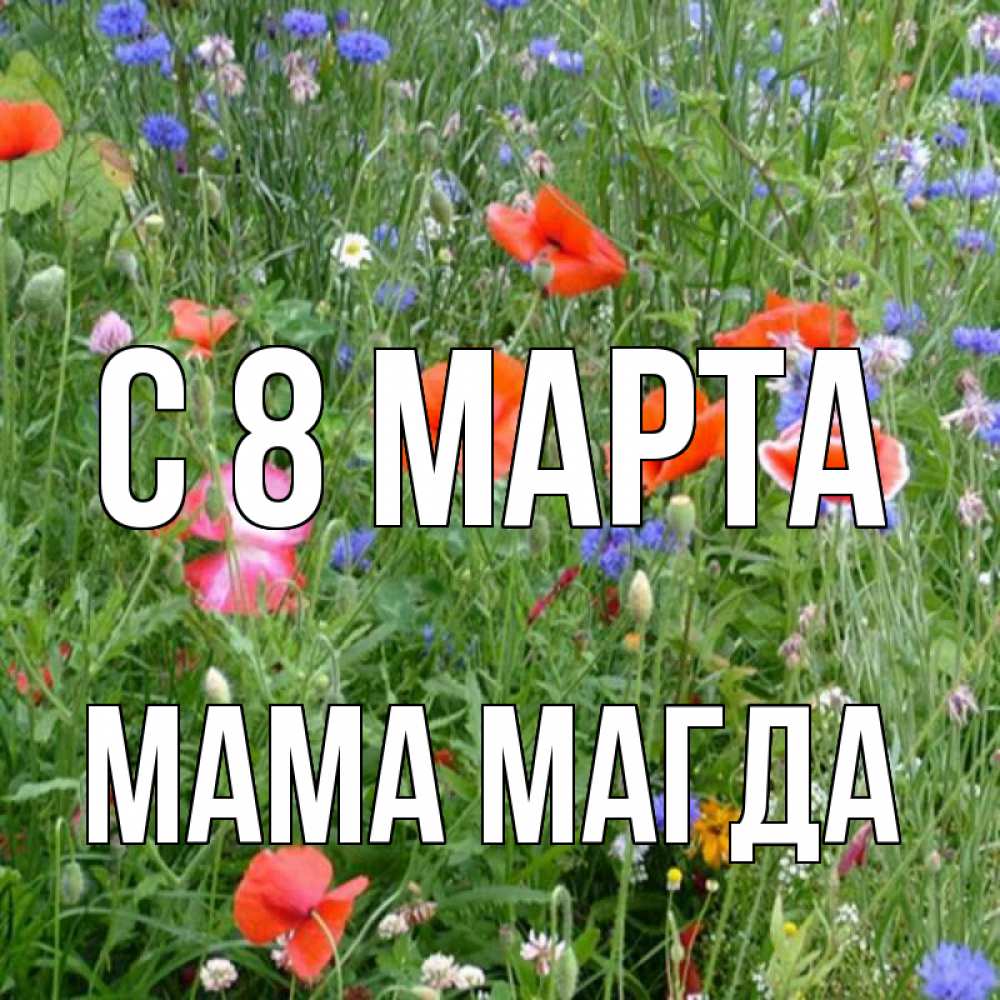 Открытка на каждый день с именем, Мама-Магда С 8 марта международный женский день 4 Прикольная открытка с пожеланием онлайн скачать бесплатно 