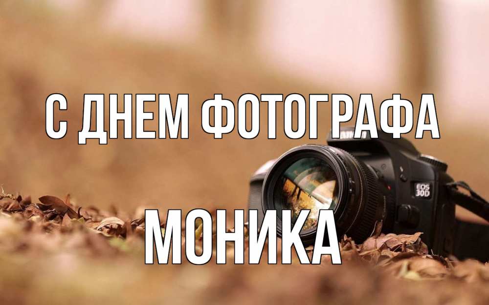 Открытка на каждый день с именем, Моника С днем фотографа с днем фотографа Прикольная открытка с пожеланием онлайн скачать бесплатно 
