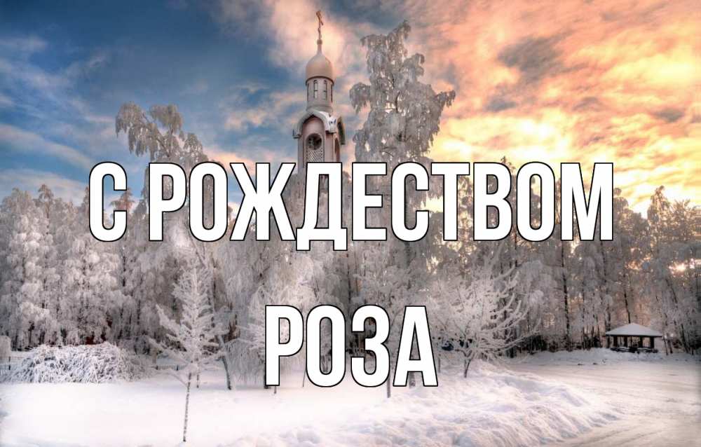 Открытка на каждый день с именем, Роза С рождеством лес, зима 2 Прикольная открытка с пожеланием онлайн скачать бесплатно 