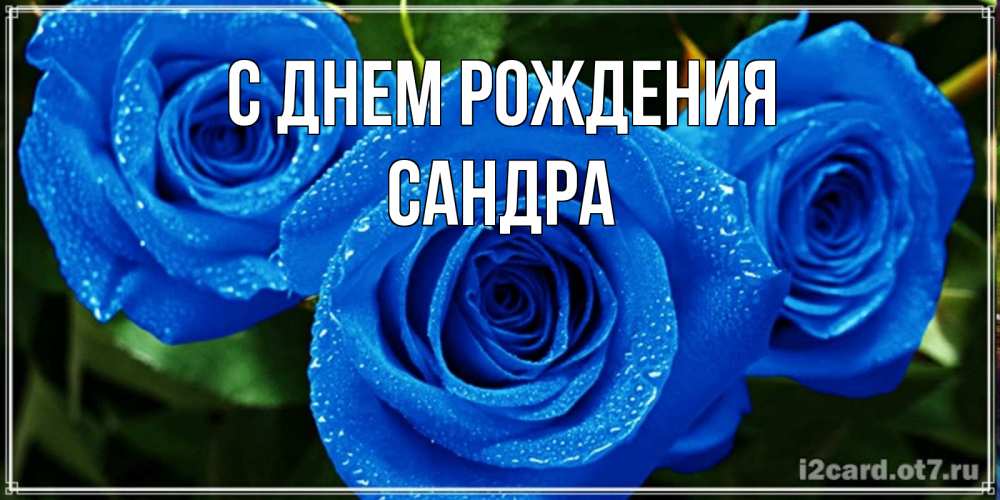 Открытка на каждый день с именем, Сандра С днем рождения розы с синим цветом Прикольная открытка с пожеланием онлайн скачать бесплатно 
