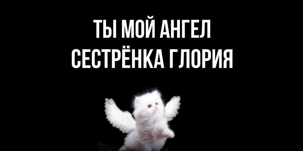 Открытка на каждый день с именем, Сестрёнка-Глория Ты мой ангел Кот ангел Прикольная открытка с пожеланием онлайн скачать бесплатно 
