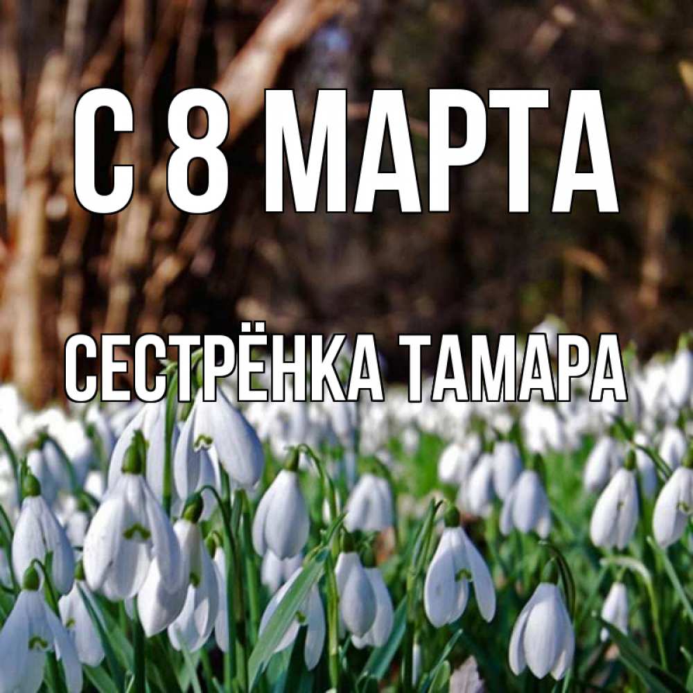Открытка на каждый день с именем, Сестрёнка-Тамара С 8 МАРТА с подснежниками 1 Прикольная открытка с пожеланием онлайн скачать бесплатно 