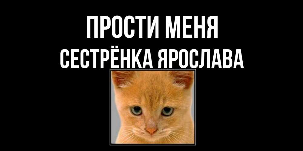 Открытка на каждый день с именем, Сестрёнка-Ярослава Прости меня рыжий грустный кот просит прощения Прикольная открытка с пожеланием онлайн скачать бесплатно 