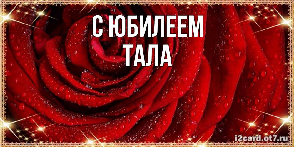 Открытка на каждый день с именем, Тала С юбилеем роса на розе блестящая в лучах солнца Прикольная открытка с пожеланием онлайн скачать бесплатно 