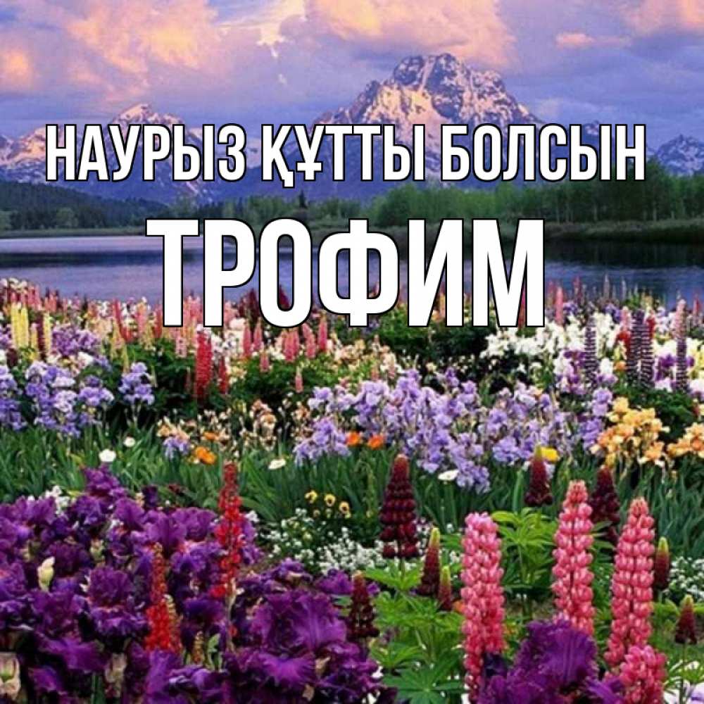 Открытка на каждый день с именем, Трофим Наурыз құтты болсын наурыз Прикольная открытка с пожеланием онлайн скачать бесплатно 